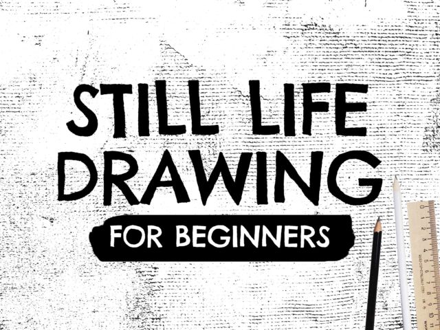 Still Life Drawing for Beginners